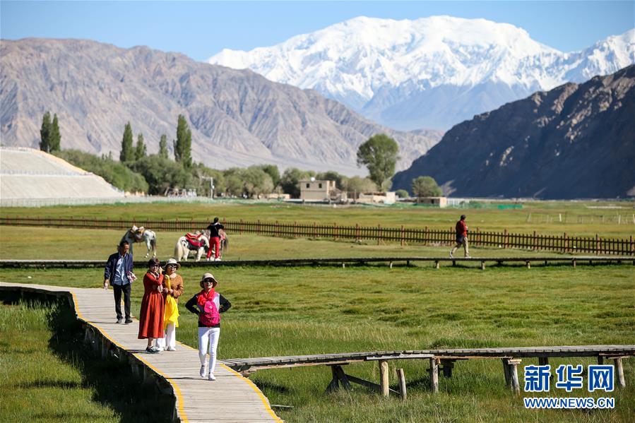 （新華全媒頭條&middot;圖文互動）（15）飛吧，&ldquo;帕米爾雄鷹&rdquo;！