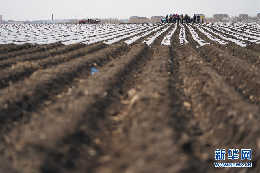 （在習近平新時代中國特色社會主義思想指引下&mdash;&mdash;新時代新作為新篇章&middot;習近平總書記關(guān)切事&middot;圖文互動）（3）讓每一寸耕地都成為豐收的沃土&mdash;&mdash;我國加強耕地保護推進&ldquo;藏糧于地&rdquo;