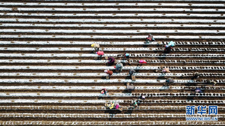 （在習近平新時代中國特色社會主義思想指引下&mdash;&mdash;新時代新作為新篇章&middot;習近平總書記關(guān)切事&middot;圖文互動）（2）讓每一寸耕地都成為豐收的沃土&mdash;&mdash;我國加強耕地保護推進&ldquo;藏糧于地&rdquo;