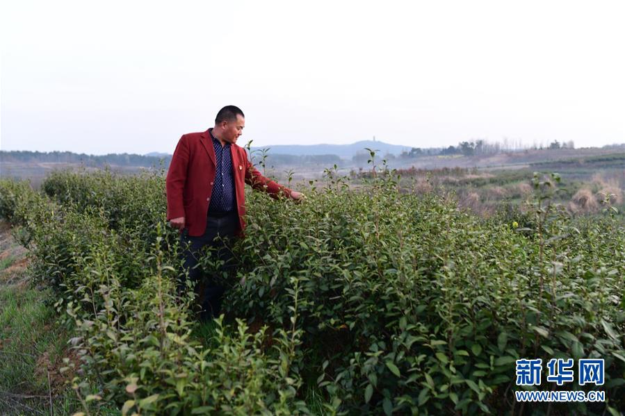 (決戰(zhàn)決勝脫貧攻堅(jiān)·圖文互動(dòng))(3)貧困戶老楊的人生“三級(jí)跳”