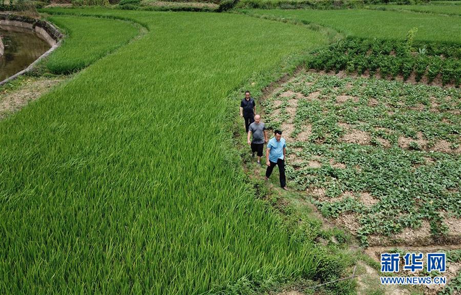 （圖文互動(dòng)）（6）湘南深山，堅(jiān)守扶貧一線的黨員之家