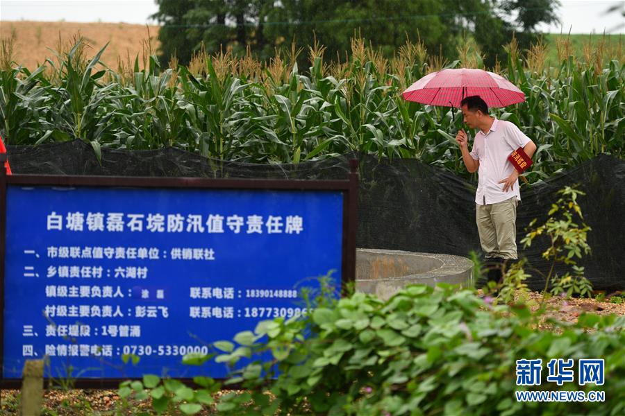 （防汛抗洪&middot;圖文互動）（1）&ldquo;險情不可怕，可怕的是不能及時發(fā)現(xiàn)險情&rdquo;&mdash;&mdash;洞庭湖巡堤查險現(xiàn)場直擊