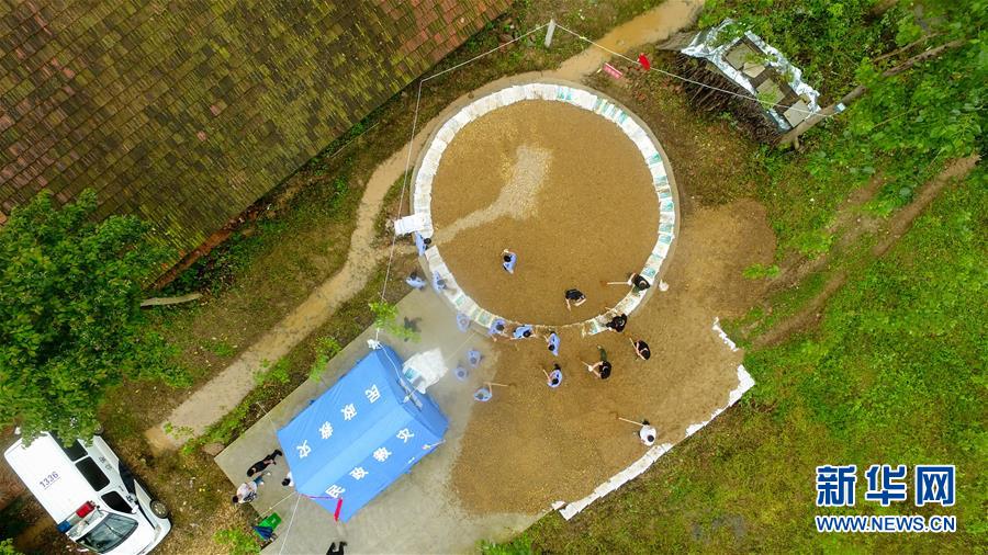 （防汛抗洪&middot;圖文互動）（2）&ldquo;險情不可怕，可怕的是不能及時發(fā)現(xiàn)險情&rdquo;&mdash;&mdash;洞庭湖巡堤查險現(xiàn)場直擊