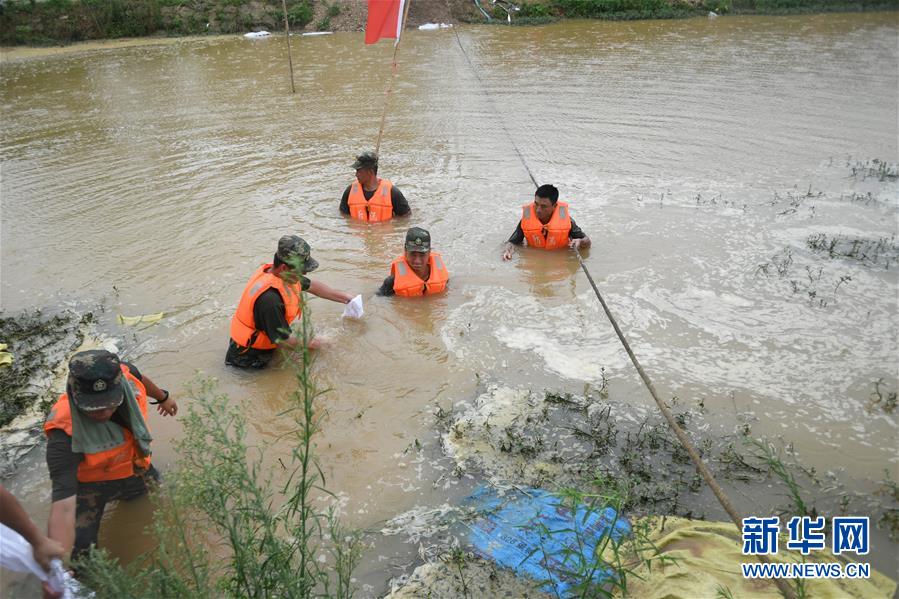 （防汛抗洪&middot;圖文互動）（1）&ldquo;大堤上有了&lsquo;導彈綠&rsquo;，我們老百姓安了心&rdquo;