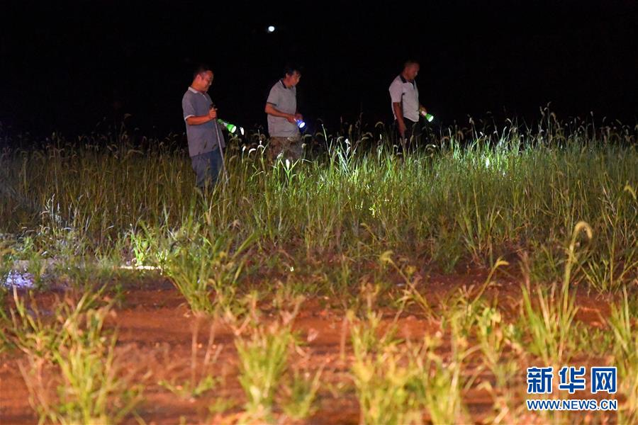 （防汛抗洪&middot;圖文互動）（2）&ldquo;保衛(wèi)家園，誰都不能是旁觀者&rdquo;&mdash;&mdash;夜訪洞庭湖大堤防汛一線