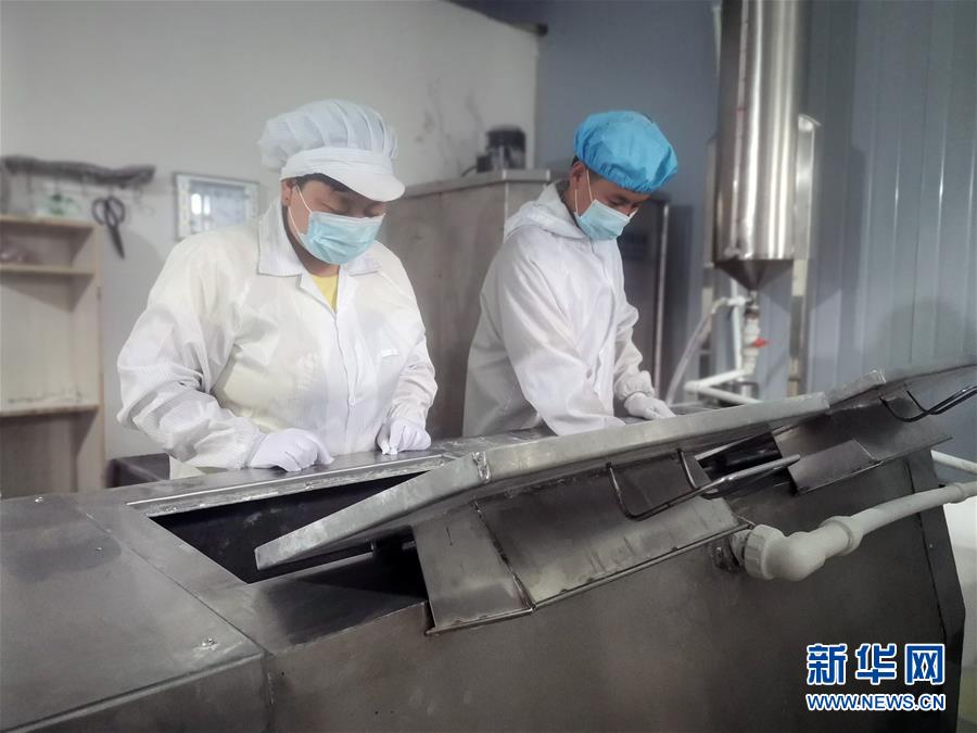 (中國網(wǎng)事·感動(dòng)2020·圖文互動(dòng))(1)“90后”扶貧干部跨越千里當(dāng)上“掛面書記”