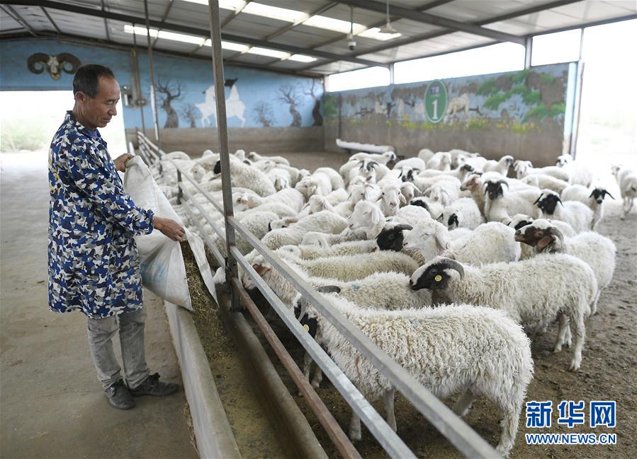 (走向我們的小康生活·圖文互動)(5)西海固換了新模樣
