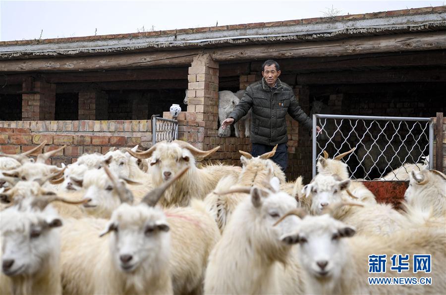 (走向我們的小康生活·圖文互動)(6)西海固換了新模樣