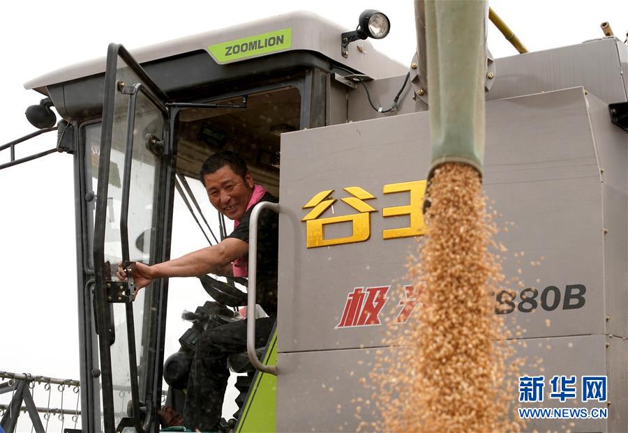 (在習近平新時代中國特色社會主義思想指引下——新時代新作為新篇章·習近平總書記關(guān)切事·圖文互動)(3)食為政首——穩(wěn)住農(nóng)業(yè)基本盤增添發(fā)展底氣