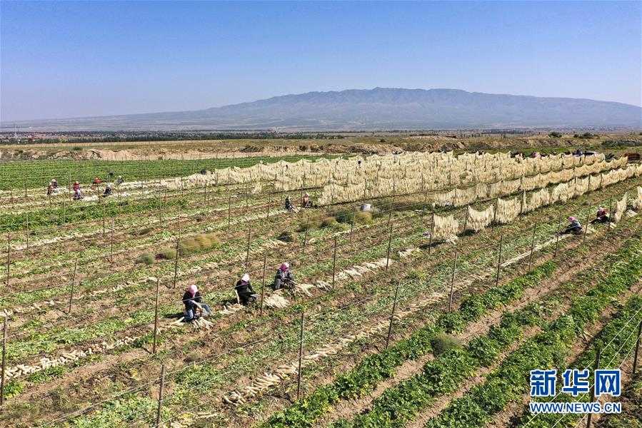 （新華全媒頭條&middot;走向我們的小康生活&middot;圖文互動）（8）23萬人的命運轉(zhuǎn)折&mdash;&mdash;我國最大易地生態(tài)移民安置區(qū)的脫貧密碼