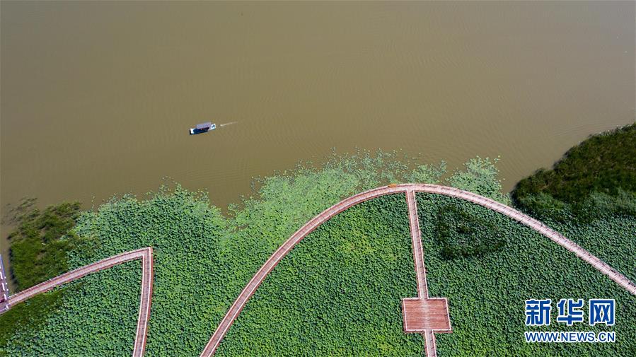 （在習(xí)近平新時(shí)代中國(guó)特色社會(huì)主義思想指引下&mdash;&mdash;新時(shí)代新作為新篇章&middot;習(xí)近平總書記關(guān)切事&middot;圖文互動(dòng)）（8）綠色映底蘊(yùn)，山水見初心&mdash;&mdash;生態(tài)優(yōu)先、綠色發(fā)展持續(xù)造福群眾美好生活