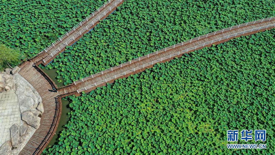 （在習(xí)近平新時(shí)代中國(guó)特色社會(huì)主義思想指引下&mdash;&mdash;新時(shí)代新作為新篇章&middot;習(xí)近平總書記關(guān)切事&middot;圖文互動(dòng)）（9）綠色映底蘊(yùn)，山水見初心&mdash;&mdash;生態(tài)優(yōu)先、綠色發(fā)展持續(xù)造福群眾美好生活