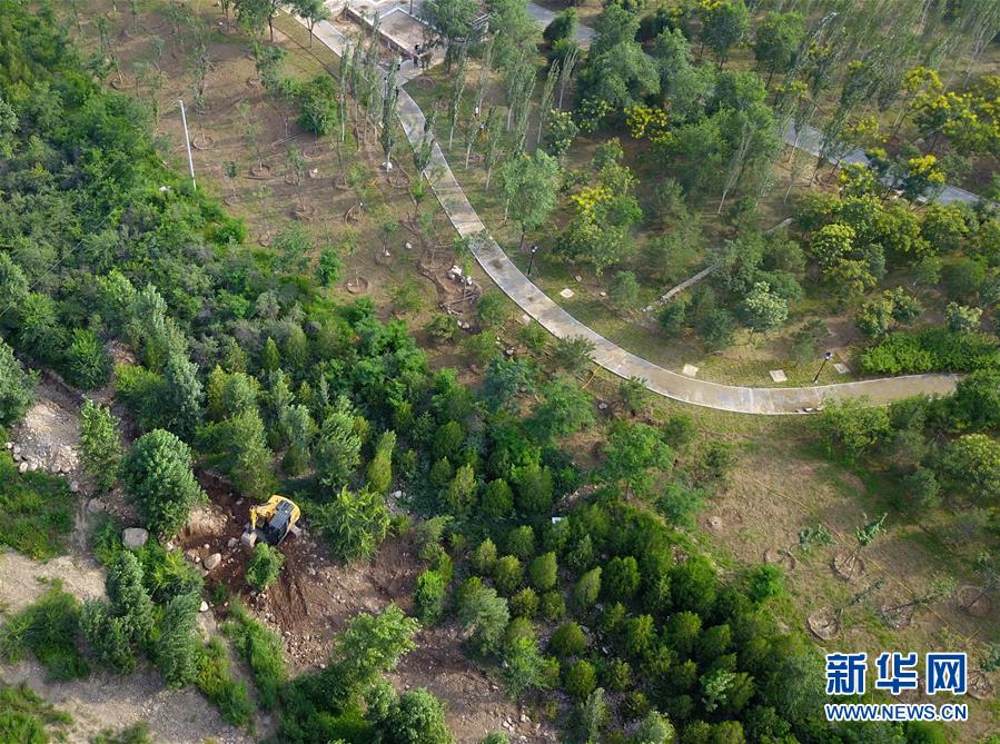 （新華全媒頭條&middot;圖文互動(dòng)）（15）扎實(shí)推進(jìn)籌辦，不負(fù)青春韶華&mdash;&mdash;北京冬奧會(huì)籌辦備戰(zhàn)克服疫情影響平穩(wěn)推進(jìn)