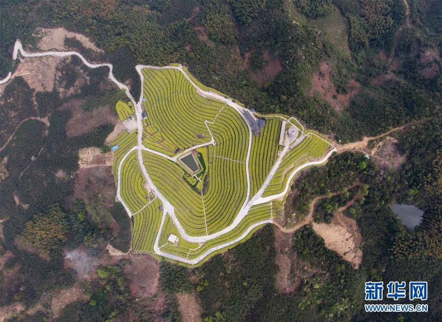 (新華全媒頭條·圖文互動(dòng))(3)生態(tài)文明之光照耀美麗中國(guó)——寫(xiě)在綠水青山就是金山銀山理念提出15周年之際