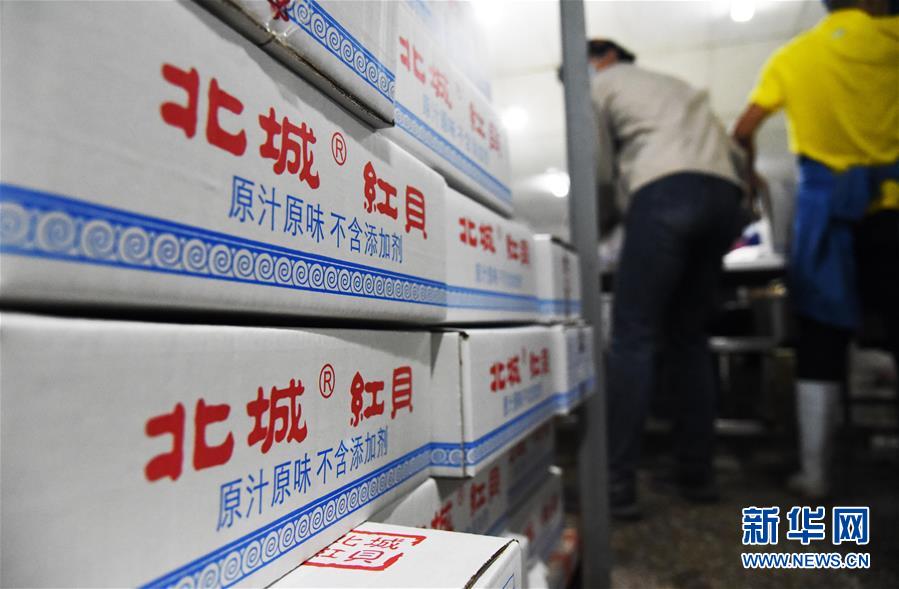 (走向我們的小康生活·圖文互動(dòng))(2)長島漁民的扇貝喜事:從請(qǐng)客求人買到供不應(yīng)求