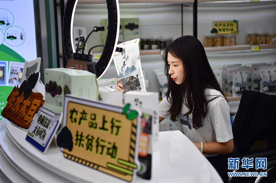 （走向我們的小康生活&middot;圖文互動）（3）綠了青山，紅了日子&mdash;&mdash;秦巴山區(qū)群眾繪出小康&ldquo;調(diào)色板&rdquo;