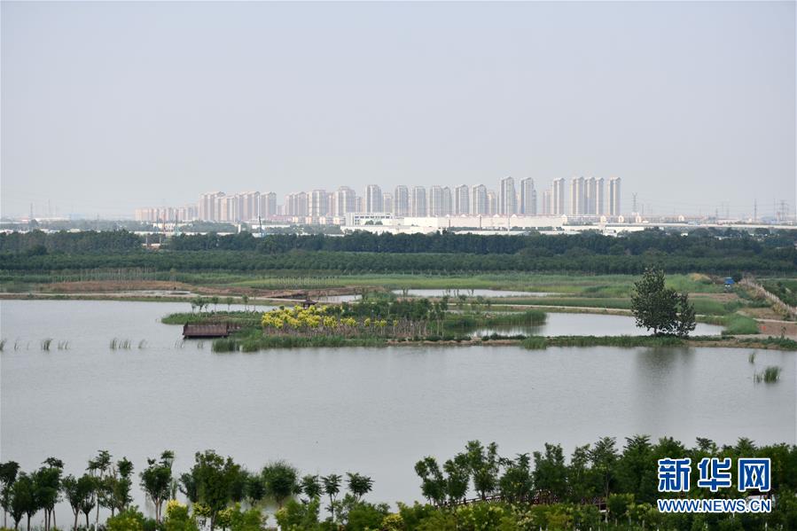 (新華全媒頭條·走向我們的小康生活·圖文互動)(2)沽水流霞正美好——天津“工筆”繪就“小康圖”