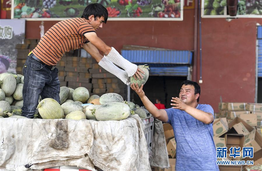 （決戰(zhàn)決勝脫貧攻堅(jiān)&middot;圖文互動(dòng)）（2）&ldquo;窮&rdquo;鄉(xiāng)富戶的販瓜生意經(jīng)