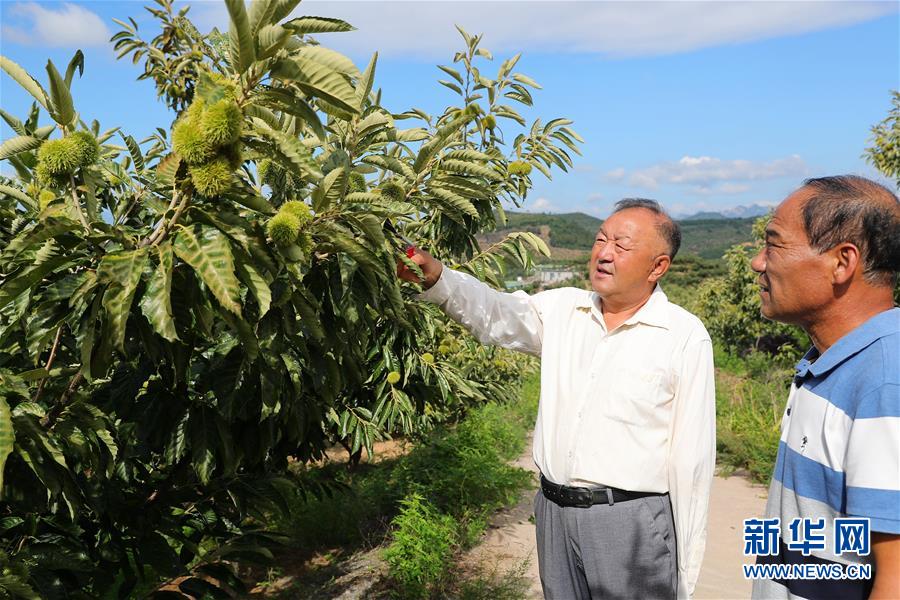 （新華全媒頭條&middot;走向我們的小康生活&middot;圖文互動(dòng)）（11）長城腳下，小康村串成&ldquo;珍珠鏈&rdquo;