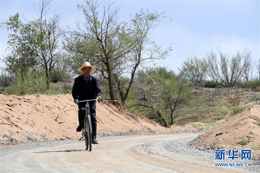 （新華全媒頭條&middot;走向我們的小康生活&middot;圖文互動）（7）&ldquo;苦甲&rdquo;不再，&ldquo;甘味&rdquo;綿長&mdash;&mdash;脫貧攻堅的甘肅味道