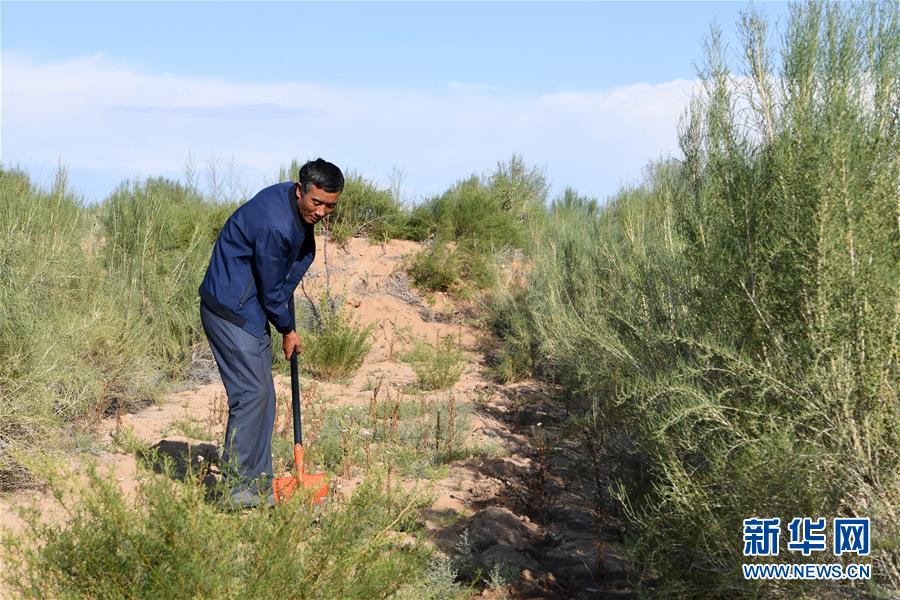 （新華全媒頭條&middot;走向我們的小康生活&middot;圖文互動）（8）&ldquo;苦甲&rdquo;不再，&ldquo;甘味&rdquo;綿長&mdash;&mdash;脫貧攻堅的甘肅味道