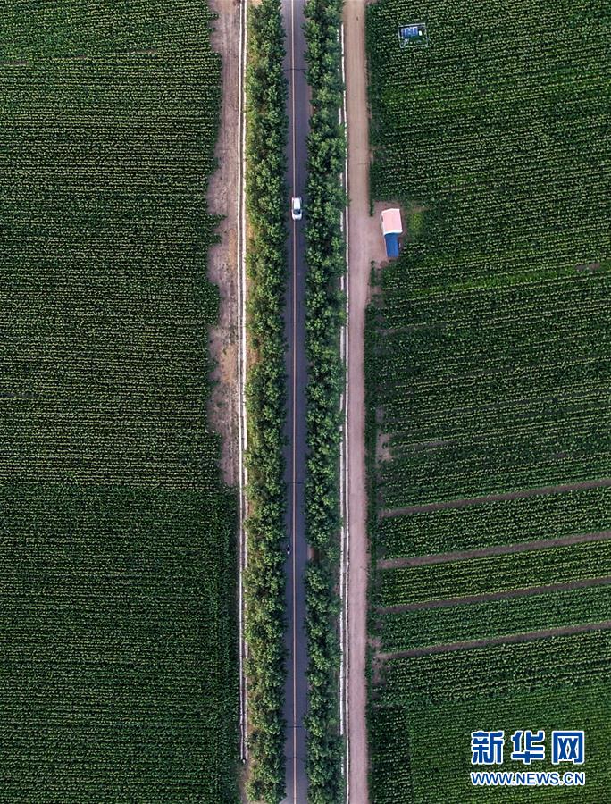 (新華全媒頭條·圖文互動(dòng))(3)為現(xiàn)代農(nóng)業(yè)探新路——來(lái)自吉林梨樹(shù)的田野報(bào)告