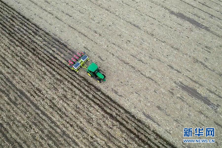 (新華全媒頭條·圖文互動(dòng))(11)為現(xiàn)代農(nóng)業(yè)探新路——來(lái)自吉林梨樹(shù)的田野報(bào)告