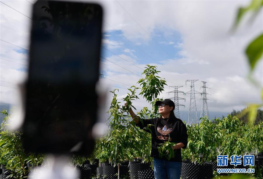 （決戰(zhàn)決勝脫貧攻堅(jiān)&middot;督戰(zhàn)未摘帽貧困縣&middot;圖文互動(dòng)）（4）12000多個(gè)&ldquo;火種&rdquo;點(diǎn)亮大涼山