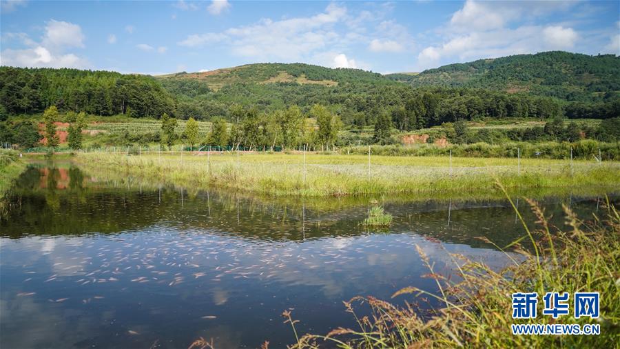 （新華全媒頭條&middot;決戰(zhàn)決勝脫貧攻堅(jiān)&middot;督戰(zhàn)未摘帽貧困縣&middot;圖文互動）（4）苦蕎花開大涼山&mdash;&mdash;四川7個(gè)未摘帽縣脫貧攻堅(jiān)一線觀察