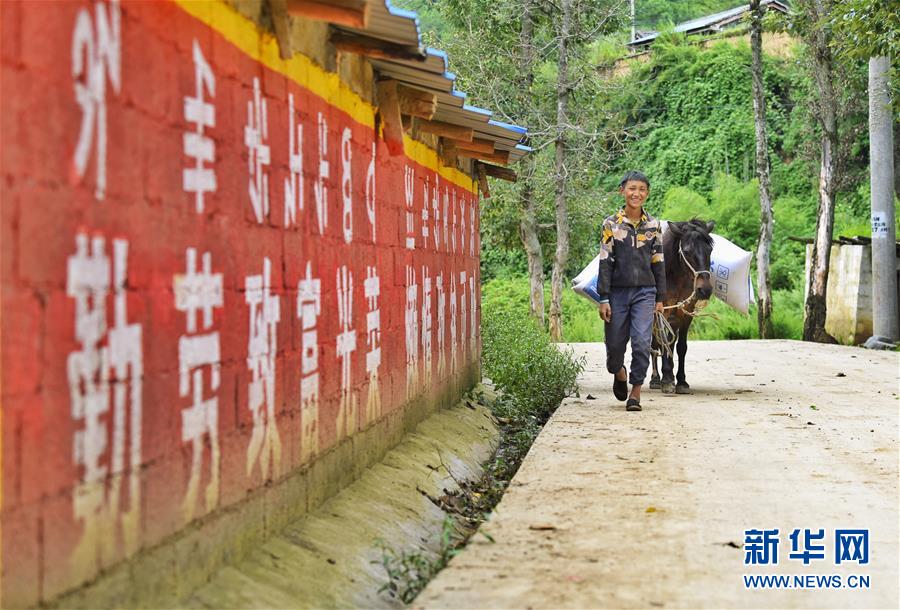 （新華全媒頭條&middot;決戰(zhàn)決勝脫貧攻堅(jiān)&middot;督戰(zhàn)未摘帽貧困縣&middot;圖文互動）（6）苦蕎花開大涼山&mdash;&mdash;四川7個(gè)未摘帽縣脫貧攻堅(jiān)一線觀察