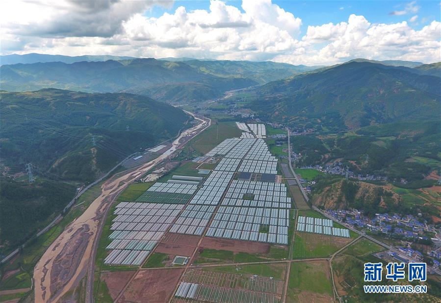 （新華全媒頭條&middot;決戰(zhàn)決勝脫貧攻堅(jiān)&middot;督戰(zhàn)未摘帽貧困縣&middot;圖文互動）（10）苦蕎花開大涼山&mdash;&mdash;四川7個(gè)未摘帽縣脫貧攻堅(jiān)一線觀察