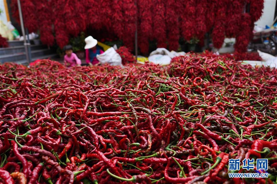 （走向我們的小康生活&middot;決戰(zhàn)決勝脫貧攻堅&middot;圖文互動）（7）甘青交界處的跨越&mdash;&mdash;保安族、撒拉族的脫貧故事 