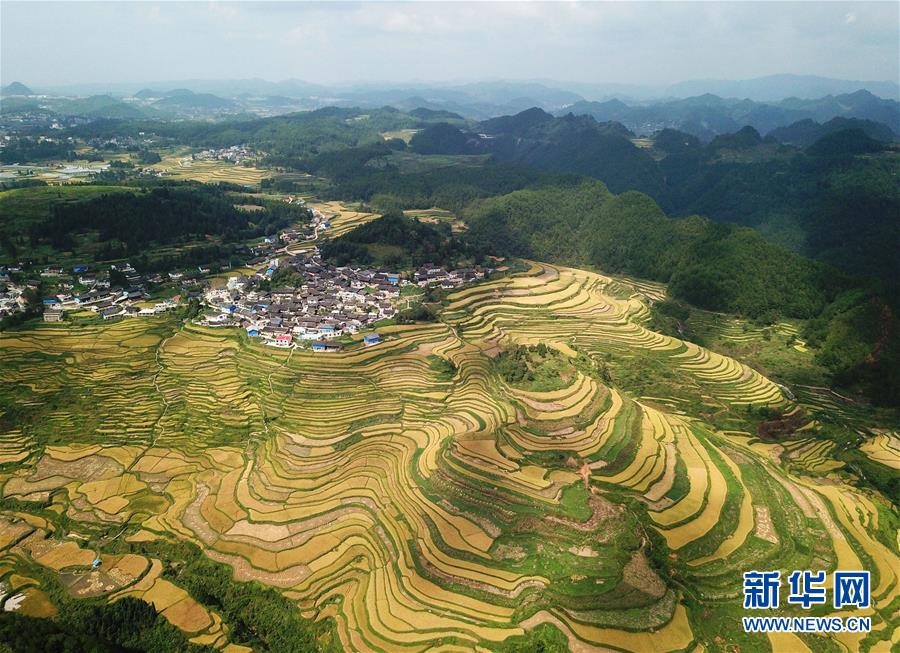 （決戰(zhàn)決勝脫貧攻堅(jiān)&middot;圖文互動(dòng)）（3）一個(gè)小鎮(zhèn)&ldquo;撬動(dòng)&rdquo;整縣脫貧&mdash;&mdash;社會(huì)扶貧的貴州丹寨樣板