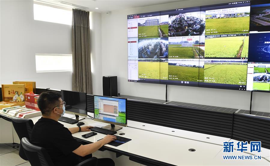 （新華全媒頭條&middot;走向我們的小康生活&middot;圖文互動）（4）黑土地上是我家&mdash;&mdash;在吉林，一瞥中國東北鄉(xiāng)村美麗未來