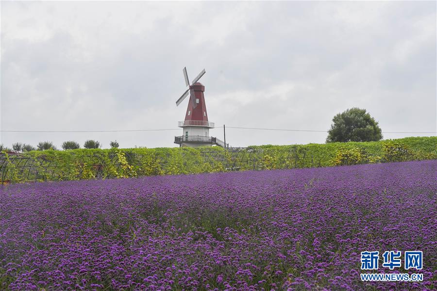 （新華全媒頭條&middot;走向我們的小康生活&middot;圖文互動）（6）黑土地上是我家&mdash;&mdash;在吉林，一瞥中國東北鄉(xiāng)村美麗未來