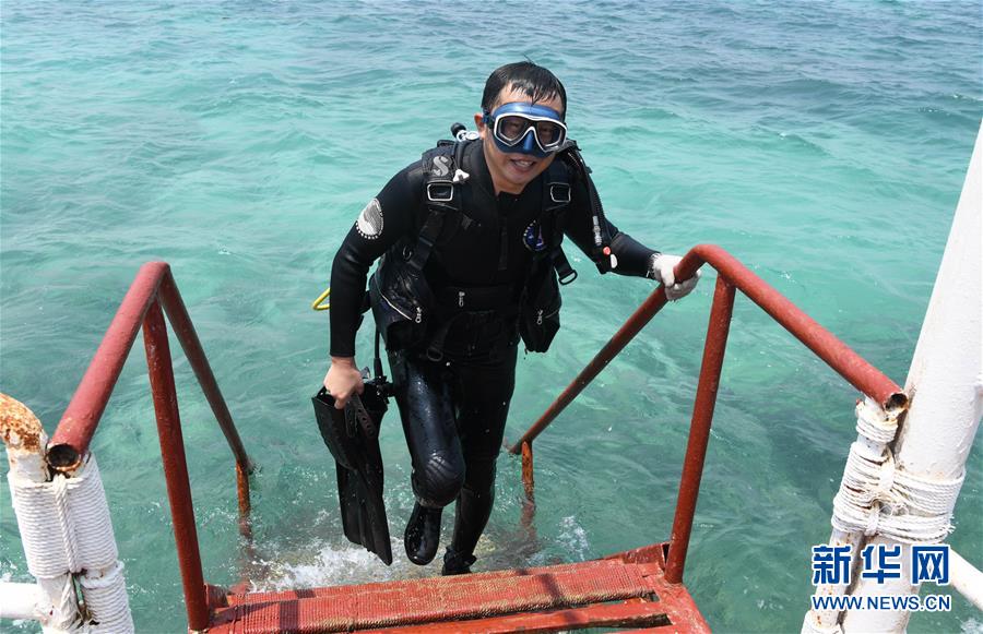 （在習(xí)近平新時(shí)代中國特色社會(huì)主義思想指引下&mdash;&mdash;新時(shí)代新作為新篇章&middot;習(xí)近平總書記關(guān)切事&middot;圖文互動(dòng)）（5）終不悔為國為民，攀高峰只爭朝夕&mdash;&mdash;來自科學(xué)家們的動(dòng)人故事