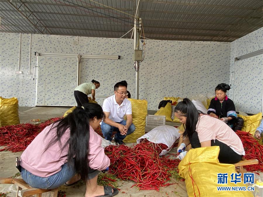 (新華全媒頭條·決戰(zhàn)決勝脫貧攻堅(jiān)·督戰(zhàn)未摘帽貧困縣·圖文互動)(6)把“最能打的人”放在最需要的地方——聚焦貴州未脫貧縣里的“助攻干部”