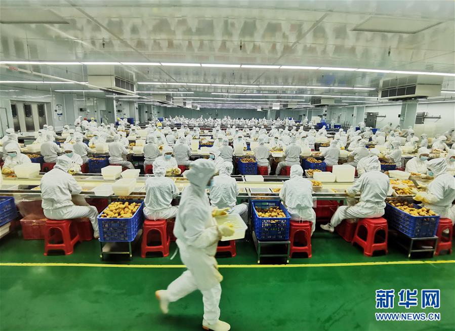 （決戰(zhàn)決勝脫貧攻堅&middot;圖文互動）（8）同飲一江水 攜手&ldquo;斬窮根&rdquo;&mdash;&mdash;深圳對口廣西河池、百色扶貧協(xié)作見聞