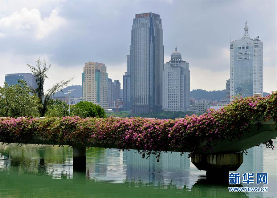 （特區(qū)40年?圖文互動）（7）廈庇五洲客 門納萬頃濤&mdash;&mdash;廈門經(jīng)濟特區(qū)40年發(fā)展紀實