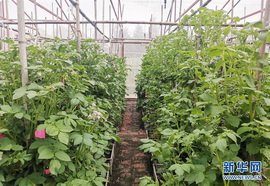 (新華全媒頭條·圖文互動(dòng))(8)天道酬勤的大地贊歌——寫在第三個(gè)中國(guó)農(nóng)民豐收節(jié)之際