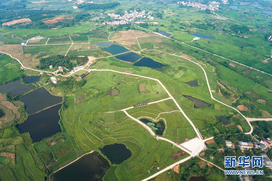 （新華全媒頭條&middot;走向我們的小康生活&middot;圖文互動）（1）特殊之年，荊楚大地書寫不平凡的答卷