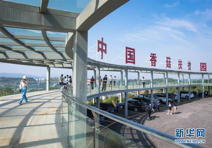 （新華全媒頭條&middot;走向我們的小康生活&middot;圖文互動）（2）特殊之年，荊楚大地書寫不平凡的答卷