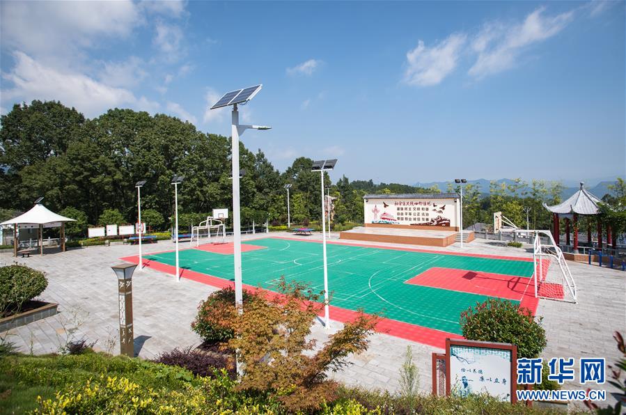 （新華全媒頭條&middot;走向我們的小康生活&middot;圖文互動）（6）特殊之年，荊楚大地書寫不平凡的答卷