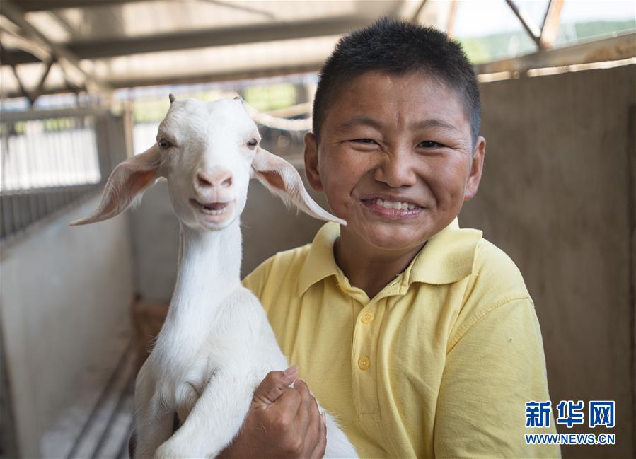 （新華全媒頭條&middot;走向我們的小康生活&middot;圖文互動）（5）特殊之年，荊楚大地書寫不平凡的答卷