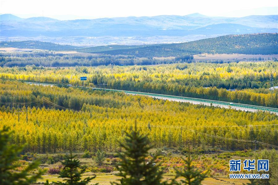 （在習(xí)近平新時代中國特色社會主義思想指引下&mdash;&mdash;新時代新作為新篇章&middot;習(xí)近平總書記關(guān)切事&middot;圖文互動）（7）綠意，在黃沙中鋪展&mdash;&mdash;我國防沙治沙紀(jì)實