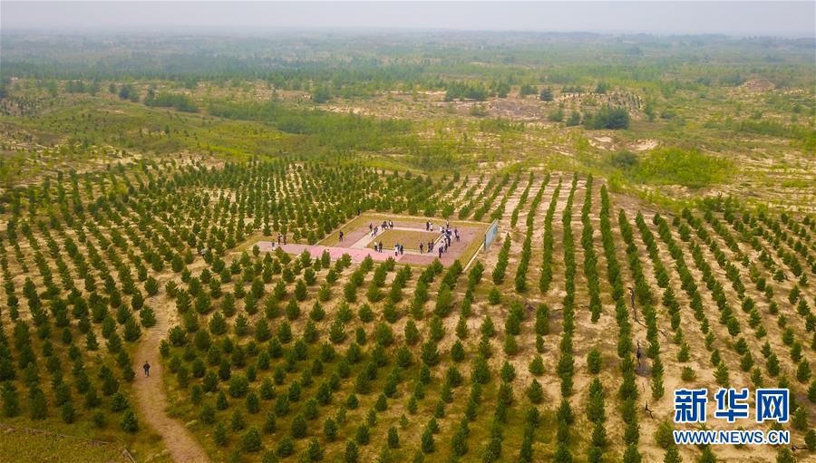 （在習(xí)近平新時代中國特色社會主義思想指引下&mdash;&mdash;新時代新作為新篇章&middot;習(xí)近平總書記關(guān)切事&middot;圖文互動）（2）綠意，在黃沙中鋪展&mdash;&mdash;我國防沙治沙紀(jì)實