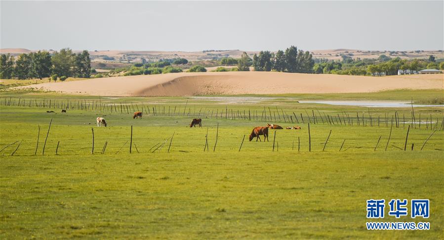 （在習(xí)近平新時代中國特色社會主義思想指引下&mdash;&mdash;新時代新作為新篇章&middot;習(xí)近平總書記關(guān)切事&middot;圖文互動）（9）綠意，在黃沙中鋪展&mdash;&mdash;我國防沙治沙紀(jì)實
