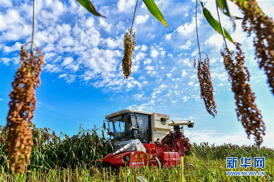 （新華全媒頭條&middot;圖文互動）（17）奮斗結(jié)碩果，再寫新篇章&mdash;&mdash;寫在共和國71周年華誕之際