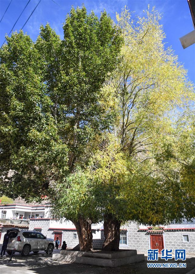 (圖文互動)(2)歷史遺跡的述說——西藏昌都源遠流長的民族團結(jié)故事