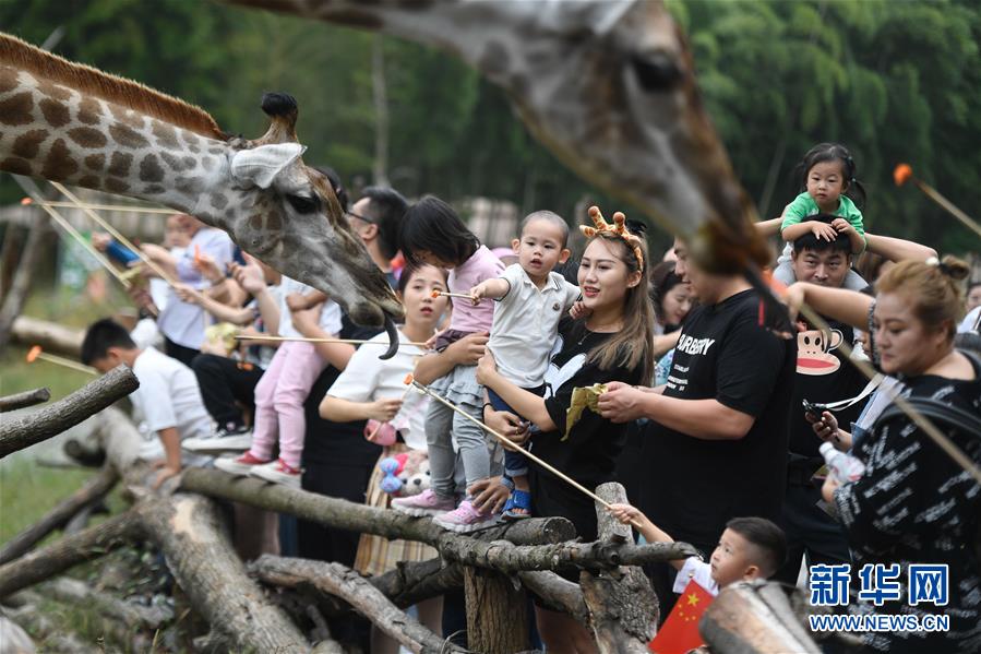 （新華全媒頭條&middot;圖文互動(dòng)）（9）&ldquo;綠&rdquo;從天目盎然出&mdash;&mdash;湖州做好&ldquo;六穩(wěn)&rdquo;工作落實(shí)&ldquo;六保&rdquo;任務(wù)新觀察